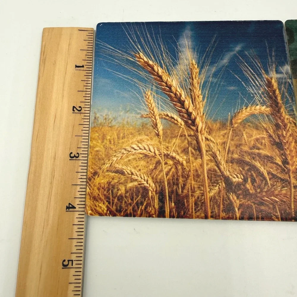 Thirstystone Religious Wheat Field‎ Scripture Stone Coaster Set of 2
